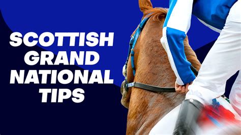 grand national tipsters choices