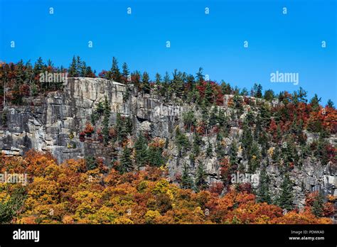 Granite State Usa