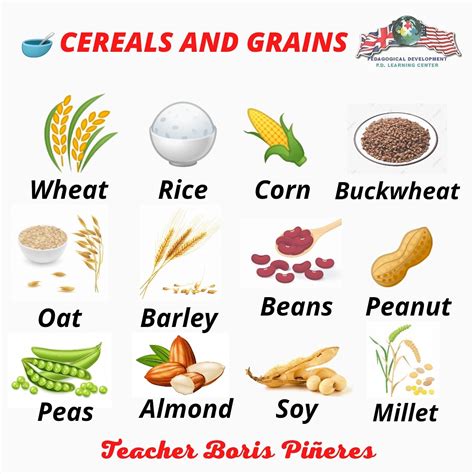 Grano En Ingles