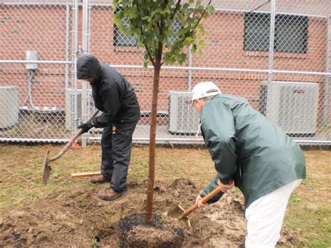 grants to plant trees northern ireland - Government Grants News ...