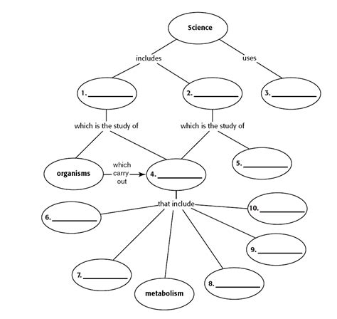 Graphing Practice Biology Junction
