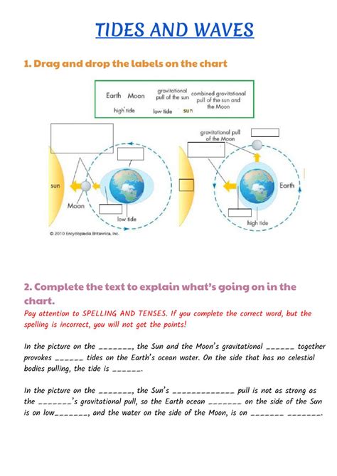 Graphing The Tides Worksheet Answers   Investigation 3 - Graphing The Tides Worksheet Answers