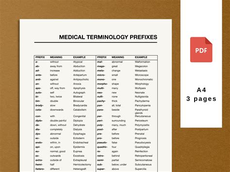 Graphy Medical Term