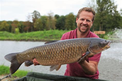 graskarper in vijver