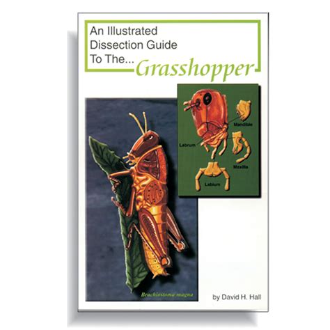 Read Online Grasshopper Lab Teachers Guide 