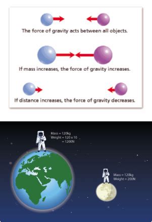 Gravity 8th Grade Science 8th Grade Science Facts - 8th Grade Science Facts