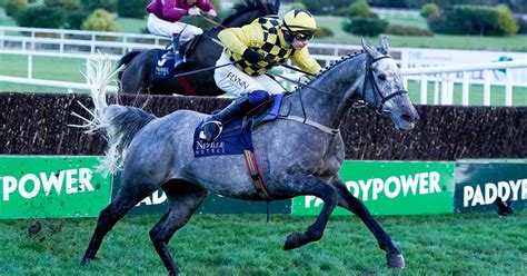 gray horse in grand national 2022