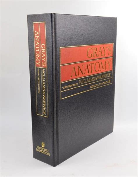 grays anatomy 36th edition