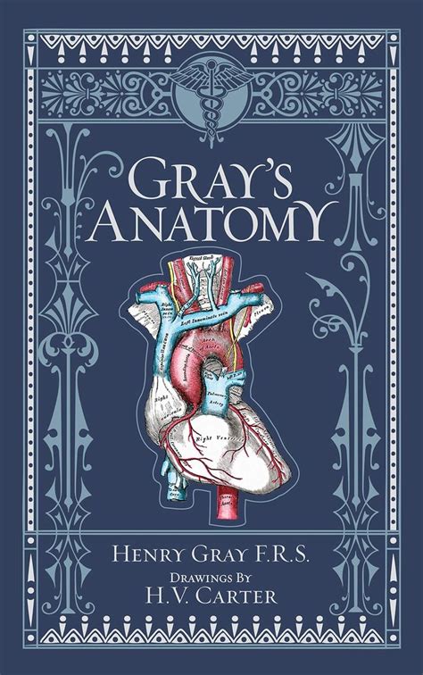 Read Grays Anatomy Henry Gray 