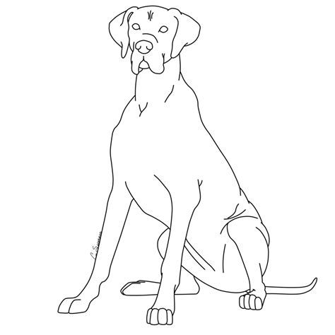 Great Dane Coloring Page Free Printable Coloring Pages Great Dane Coloring Page - Great Dane Coloring Page