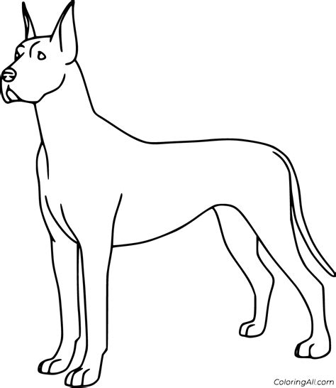Great Dane Coloring Pages Coloringall Great Dane Coloring Page - Great Dane Coloring Page