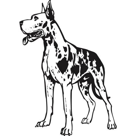 Great Dane Coloring Pages Free Coloring Pages Great Dane Coloring Page - Great Dane Coloring Page