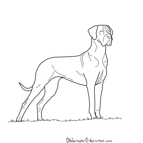 Great Dane Dog Free Online Coloring Page Great Dane Coloring Pages - Great Dane Coloring Pages