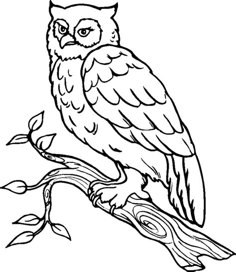 Great Horned Owl Bubo Virginianus Coloring Page Great Horned Owl Coloring Page - Great Horned Owl Coloring Page
