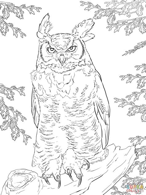  Great Horned Owl Coloring Pages - Great Horned Owl Coloring Pages