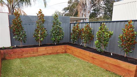 Great Ideas For Outdoor Privacy Bunnings Australia Privacy Fence For Balcony - Privacy Fence For Balcony