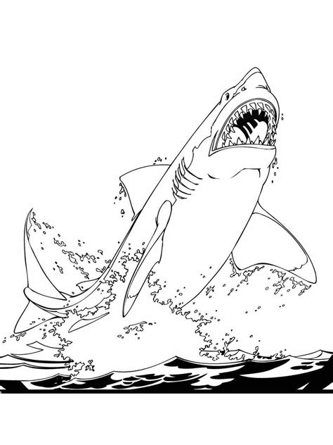 Great White Shark Coloring Page Coloringcrew Com Great White Coloring Pages - Great White Coloring Pages