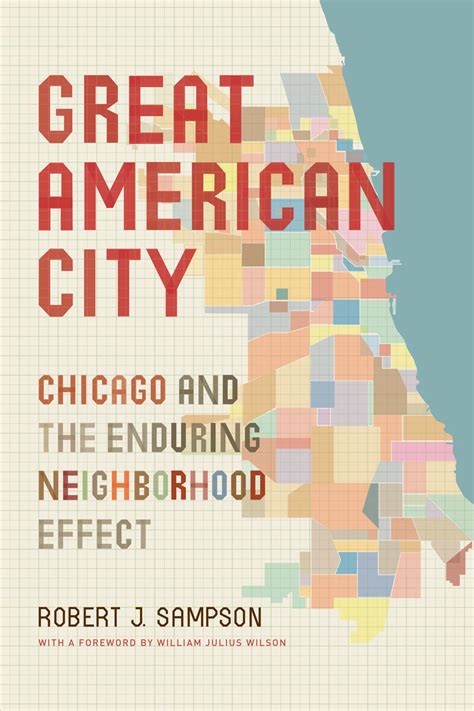 Read Online Great American City Chicago And The Enduring Neighborhood Effect Robert J Sampson 