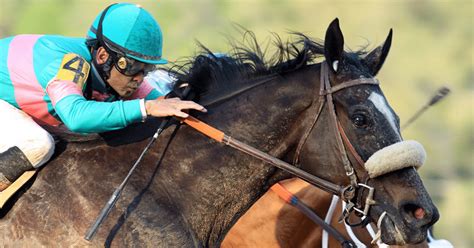 greatest racehorses of all time