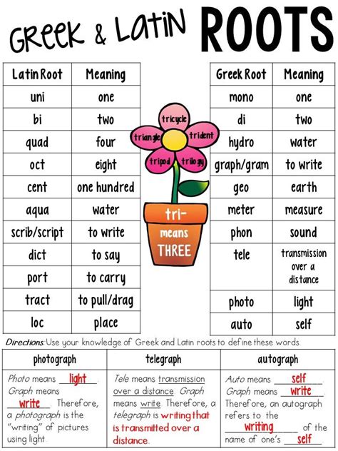 Greek And Latin Root Words Interactive Worksheet Live Words From Latin Roots Worksheet - Words From Latin Roots Worksheet