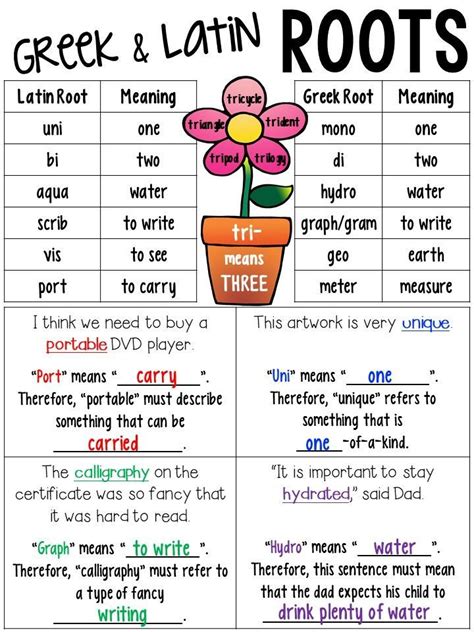 Greek And Latin Root Words Lesson Worksheets Amp Words From Latin Roots Worksheet - Words From Latin Roots Worksheet