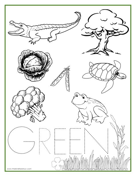 Green Color Activities And Worksheets For Preschool The Green Objects For Preschool - Green Objects For Preschool