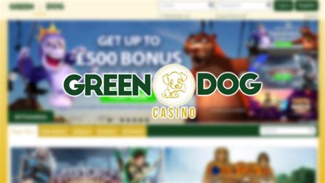 green dog casino login axus