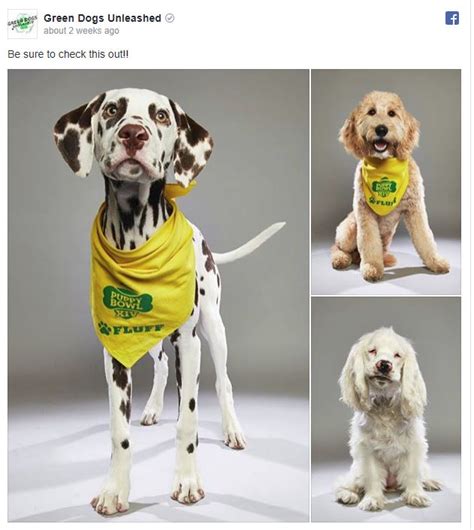 Green Dogs Unleashed