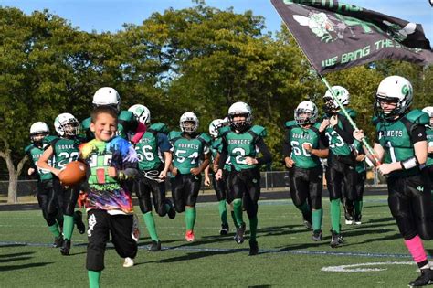 green hornets - green hornets - Saint Clair Shores, Michigan