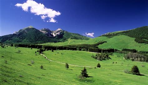 Green Italy