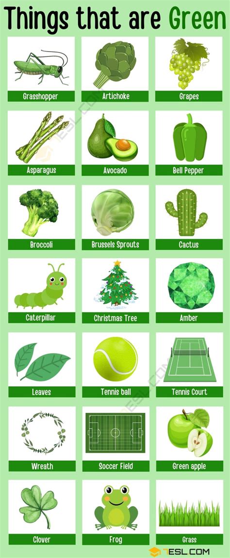 Green Objects List Challenges Green Objects For Preschool - Green Objects For Preschool