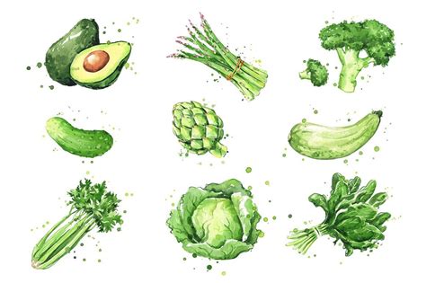 Green Vegetables Drawing