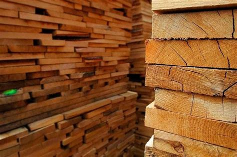 green wood - How to store/dry freshly cut lumber (white oak ...