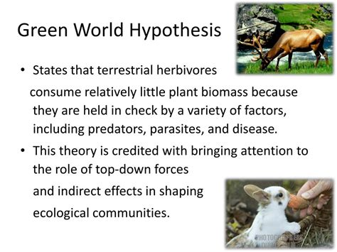 Green World Hypothesis