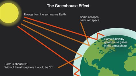 Greenhouse Effect Quiz The Greenhouse Effect Worksheet - The Greenhouse Effect Worksheet