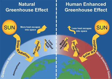 Greenhouse Gases Factsheet Center For Sustainable Systems Greenhouse Gas Worksheet - Greenhouse Gas Worksheet