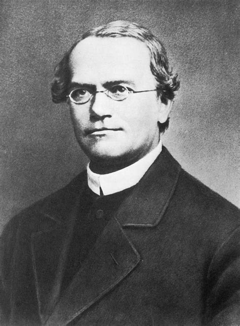 Gregor J Mendel