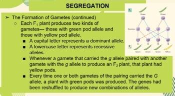Read Online Gregor Mendel Guided Notes Key 