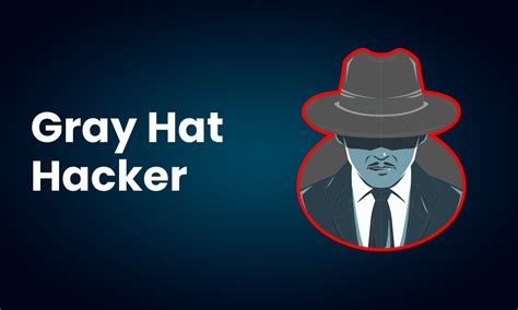 Grey Hat Hacking User Guide