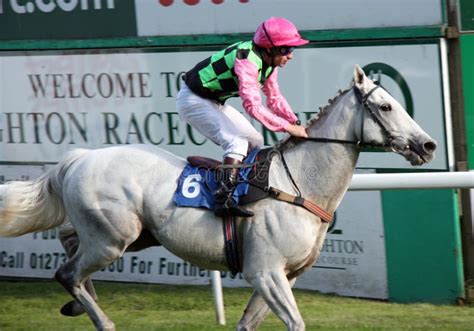 grey racehorse born 1979