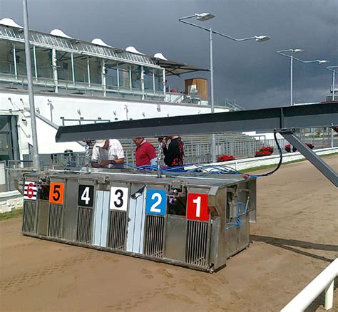 greyhound trap colours