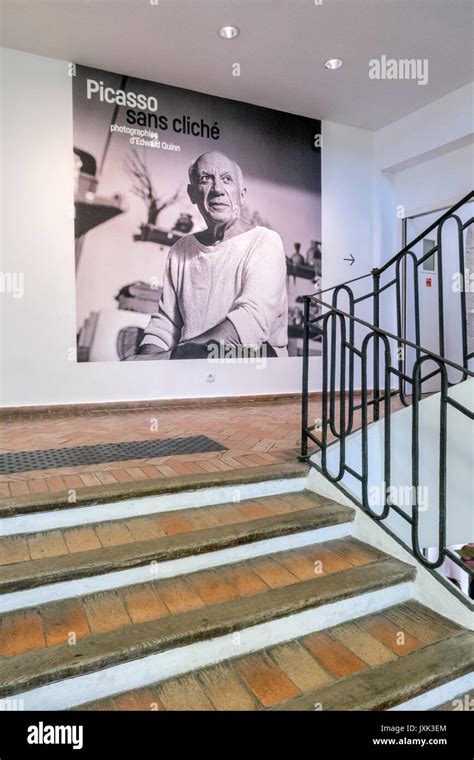 grimaldi palace picasso biography