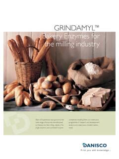 Read Online Grindamyl Bakery Enzymes For The Milling Industry 