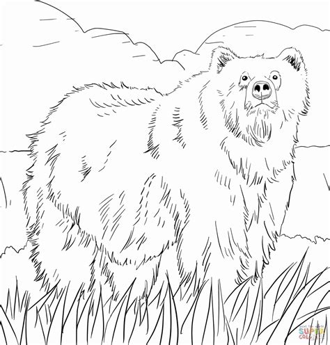 Grizzly Bear Coloring Pages At Getcolorings Com Free Grizzly Bear Coloring Page - Grizzly Bear Coloring Page