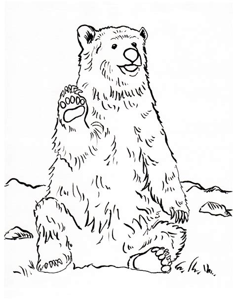 Grizzly Bear Real Animals Coloring Pages For Kids Grizzly Bear Coloring Page - Grizzly Bear Coloring Page