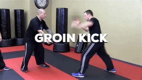 groin kick against black belt