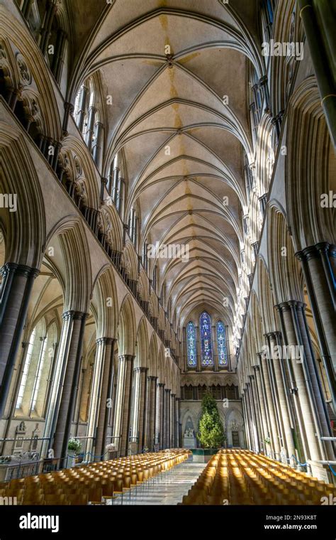 Groind Vaulted Nave