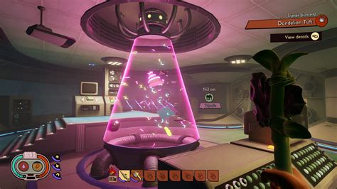 Grounded Science Cone