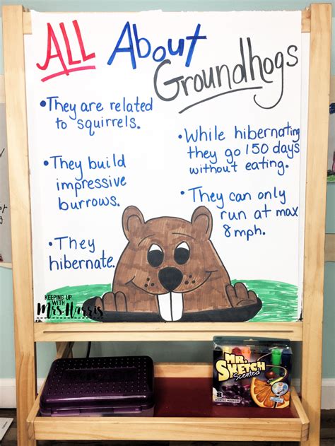 Groundhog Day 2024 Teaching Resources For 1st Grade Groundhog Day For First Grade - Groundhog Day For First Grade