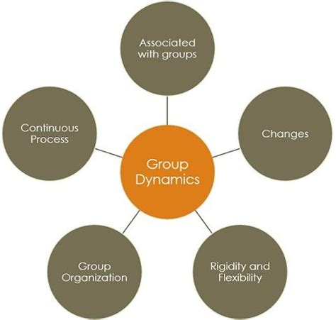 Group And Group Dynamics